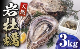 【ふるさと納税】天然 岩ガキ 3kg《対馬市》【海風商事】国産 九州 長崎 牡蠣 [WAD001]冷蔵 新鮮 岩牡蠣 BBQ バーベキュー カキフライ 生