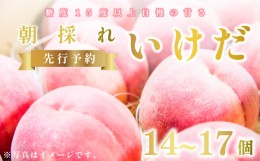 【ふるさと納税】【 先行予約 】 桃 もも いけだ 14〜17個 《7月中旬〜発送》 果物 フルーツ 朝採れ 糖度 15 以上 徳島県 阿波市