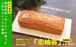 【ふるさと納税】パウンドケーキ 2本 徳島県 ケーキ 洋菓子 柑橘 人気 スイーツ ケーキ パウンドケーキ お菓子 誕生日 お祝い ギフト お