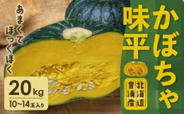 【ふるさと納税】北海道 豊浦産 かぼちゃ 味平 20kg 10〜14玉入り 【ふるさと納税 人気 おすすめ ランキング 野菜 その他野菜 かぼちゃ 