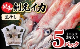 【ふるさと納税】対馬産 剣先いか 生 干し【対馬地域商社】《対馬市》剣先イカ 甘い 冷凍 新鮮 海鮮 一夜干し おつまみ 海の幸 [WAC017]