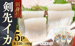 【ふるさと納税】剣先イカ 5本 セット【丸徳水産】《対馬市》鮮度抜群 新鮮 ケンサキイカ シロイカ 下処理済 刺身 BBQ 惣菜 天ぷら フラ