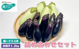 【ふるさと納税】野菜 夏野菜 ナス なすび 茄子 美〜ナス 3本 水茄子 約1.2kg 詰め合わせ セット 朝どれ 産地直送 徳島県 阿波市