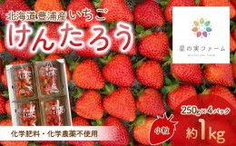 【ふるさと納税】北海道 豊浦 いちご 小玉 けんたろう 250g×4パック1箱 約1kg 【 ふるさと納税 人気 おすすめ ランキング 果物 いちごイ