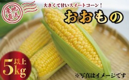 【ふるさと納税】【 先行予約 】 とうもろこし 5kg スイートコーン おおもの 甘い 野菜 採れたて 夏野菜 数量限定 朝採れ 高糖度 産地直