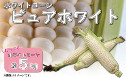 【ふるさと納税】【 先行予約 】 とうもろこし ホワイトコーン スイートコーン 約5kg  《2024年6月〜発送》 野菜 ピュアホワイト 白い 甘