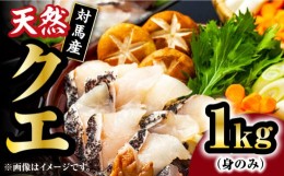 【ふるさと納税】【 対馬産 】 天然 クエ 1kg（500g×2）（身のみ）《対馬市》【石川水産】 鍋 水炊き 鮮度抜群 海鮮 [WAB011]なべ くえ 