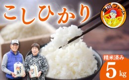 【ふるさと納税】米 5kg こしひかり 新米 令和6年度産 精米済 白米 卵かけご飯 おにぎり 美味しい おすすめ 徳島県 阿波市