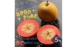 【ふるさと納税】＜希少赤い果肉!数量限定＞なかののきらめき家庭用5kg(16玉〜20玉)2024年11月末頃より発送【1494785】