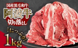 【ふるさと納税】切り落とし 1kg 冷凍 500g × 2パック 小分け 個包装 牛肉 和牛 黒毛和牛 阿波牛 赤身 ( 焼き肉 牛丼 カレー 煮込み )