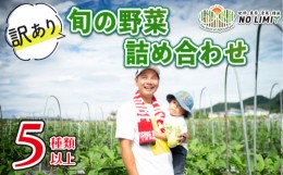 【ふるさと納税】訳あり 野菜 セット 5種以上 詰め合わせ 旬野菜 レタス グリーンリーフ サニーレタス ロメインレタス キャベツ 赤キャベ