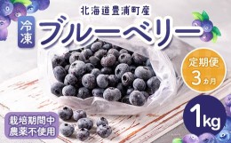 【ふるさと納税】【定期便3カ月】北海道 豊浦町産 冷凍 ブルーベリー 1kg 栽培期間中農薬不使用 【ふるさと納税 人気 おすすめ ランキン