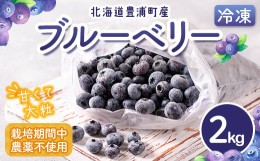 【ふるさと納税】北海道 豊浦町産 冷凍 ブルーベリー 2kg 栽培期間中農薬不使用 【ふるさと納税 人気 おすすめ ランキング 果物 ブルーベ