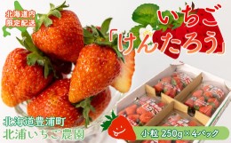 【ふるさと納税】【北海道内限定配送】いちご「けんたろう」 小粒 250g×4パック 【ふるさと納税 人気 おすすめ ランキング 果物 いちご