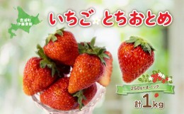 【ふるさと納税】いちご「とちおとめ」250g×4パック 【 ふるさと納税 人気 おすすめ ランキング 果物 いちご苺 国産いちご 国産苺 とち