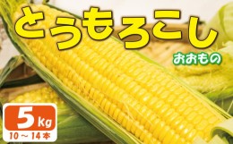 【ふるさと納税】【 先行予約 】 とうもろこし スイートコーン ゴールドラッシュ 約5kg 《2024年6月〜順次発送》 野菜 サラダ 新鮮 キャ