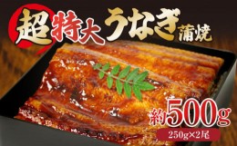 【ふるさと納税】特大 うなぎ 500g 250g×2尾 冷凍 蒲焼き かばやき うな重 ひつまぶし タレ 山椒 鰻 ウナギ うなぎ 父の日 丑の日 ※北