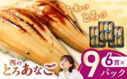 【ふるさと納税】対馬産　西のとろあなご　にぎり寿司　9PAC《対馬市》【対馬水産】 新鮮 冷凍 寿司 名物 時短 簡単調理 穴子 穴子寿司 