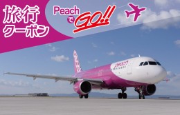 【ふるさと納税】PeachでGo！！（泉佐野市内宿泊編）旅行クーポン（15,000円分） 050F082