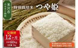 【ふるさと納税】《 先行予約 》【 12ヶ月定期便 / 令和6年産 新米 】 つや姫 5kg × 12回 計 60kg 〈 2024年 10月 〜 2025年 9月 配送 