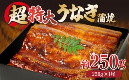 【ふるさと納税】特大 うなぎ 250g 1尾 冷凍 蒲焼き かばやき うな重 ひつまぶし タレ 山椒 鰻 ウナギ うなぎ 父の日 丑の日 ※北海道・