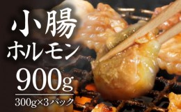 【ふるさと納税】ホルモン (小腸) 阿波牛  300g×3パック 計900g  国産 牛 黒毛和牛 小分け 鍋 焼肉 脂 焼き マルチョウ もつ 肉 牛肉 BB