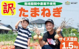 【ふるさと納税】訳あり 玉ねぎ 1.5kg 不揃い サイズ ミックス たまねぎ 玉葱 野菜 ハンバーグ 肉じゃが オニオン  サラダ スープ 焼肉 B