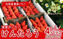 【ふるさと納税】北海道いちご　けんたろう　230g×4パック 【ふるさと納税 人気 おすすめ ランキング 果物 いちご苺 イチゴ 国産いちご 