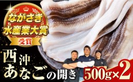 【ふるさと納税】対馬産 天然あなごの開き500g×2《対馬市》【すし処慎一】国産 肉厚 穴子 アナゴ 新鮮 冷凍 白焼き 天ぷら 揚げ物 贈り