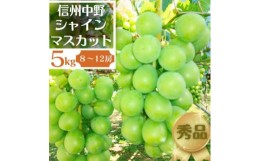 【ふるさと納税】長野県中野市産ぶどう・シャインマスカット秀品 5kg箱 8〜12房入り【1494264】