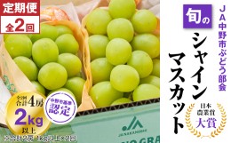 【ふるさと納税】＜発送月固定定期便＞ JA中野市 から 直送 シャインマスカット 約 1kg 以上 全2回_ マスカット ぶどう ブドウ 葡萄 フル