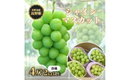 【ふるさと納税】＜冷蔵＞　長野県　中野市産　シャインマスカット4房(2.0kg以上)【1331158】