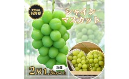 【ふるさと納税】＜冷蔵＞　長野県　中野市産　シャインマスカット2房(1.3kg以上)【1331174】