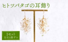 【ふるさと納税】ヒトツバタゴ 耳飾り ( ピアス ) 【合同会社かもめ】《対馬市》アメリカンフラワー フック おしゃれ アクセサリー プレ