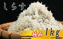 【ふるさと納税】しらす 1kg ( 1kg × 1箱 ) 冷凍 極み ちりめん かちり しらす干し 減塩 釜揚げ ごはん 丼 パスタ チャーハン サラダ 魚