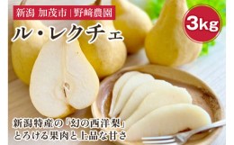 【ふるさと納税】【2024年先行予約】 新潟特産 幻の洋梨ル・レクチェ 3kg 《11月下旬から順次発送》 果物 フルーツ ギフト 加茂市産ル・