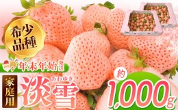 【ふるさと納税】【年末年始発送】ご家庭用淡雪 約1000g ｜ フルーツ 果物 いちご 淡雪 熊本 玉名