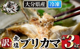 【ふるさと納税】＜訳あり＞無塩ブリカマ(約3kg)【ET002】【(有)三宅水産】