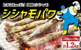 【ふるさと納税】A1-1802／冷凍 子持ち からふとししゃも シシャモパワー　1.2kg（120g×10パック）