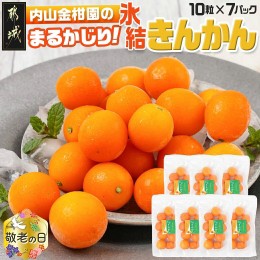 【ふるさと納税】【敬老の日】内山金柑園のまるかじり氷結きんかん7パック≪9月13日〜16日お届け≫_AO-J703-KG