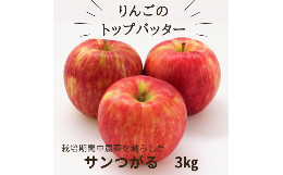 【ふるさと納税】HF14-24A【信州松川町産】サンつがる 約3kg ／9月中旬頃発送予定 // 長野県 南信州  減農薬栽培 りんご エコファーマー