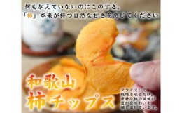 【ふるさと納税】やわらか柿チップス 80g 6パック かきチップ 紀州味紀行 柿和歌 無添加 紀伊国屋文左衛門本舗【TC10】