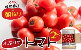 【ふるさと納税】【6月上旬まで受付】令和6年産 大容量 トマト 2kg 大玉トマト の 小ぶり サイズ おまかせ 不揃い 訳あり 訳アリ とまと 