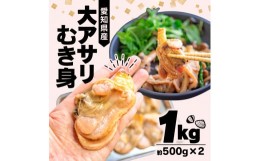 【ふるさと納税】大あさり むき身 1kg ( 500g × 2パック )  貝 海鮮 大 あさり むき身 魚介 海の幸 新鮮 冷凍 家族 夏 バーベキュー BBQ