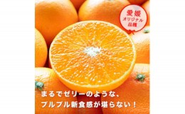 【ふるさと納税】産地直送 国安さんちの愛媛まどんな 贈答用 約5kg ＜F20-31＞【1340000】