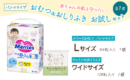 【ふるさと納税】「赤ちゃんの肌を守りたい」 おむつ＆おしりふき お試しセット 各1袋（おむつパンツタイプ）　メリーズ おむつパンツ Ｌ