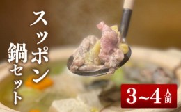 【ふるさと納税】国産すっぽん鍋セット 野菜・がんもどき付き 600g (3〜4人前) DY0002