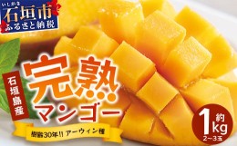 【ふるさと納税】【先行予約】石垣島産 マンゴー  (アーウィン種) 約1kg(2〜3玉) 《6月中旬頃より順次発送》《樹齢30年の木で育ったマン