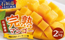 【ふるさと納税】【先行予約】石垣島産 マンゴー (アーウィン種) 約2kg(5〜6玉) 《6月中旬頃より順次発送》《樹齢30年の木で育ったマンゴ