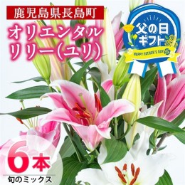 【ふるさと納税】父の日 6/5決済完了で6/16までにお届け オリエンタルリリー ( ユリ ) 旬のミックス 6本 花 花束 「お父さんいつもありが